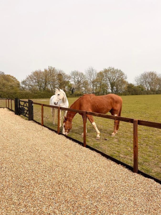 The Hayloft Villa Gestingthorpe Kültér fotó